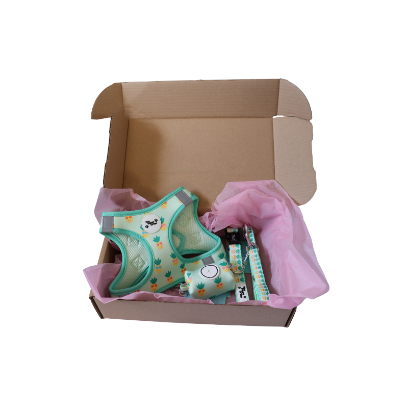 Pineapple Pals Step In Harness Set