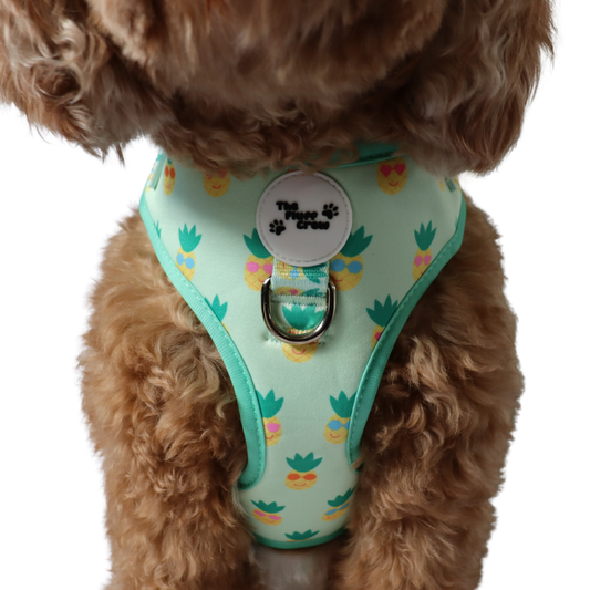 Pineapple Pals Adjustable Harness