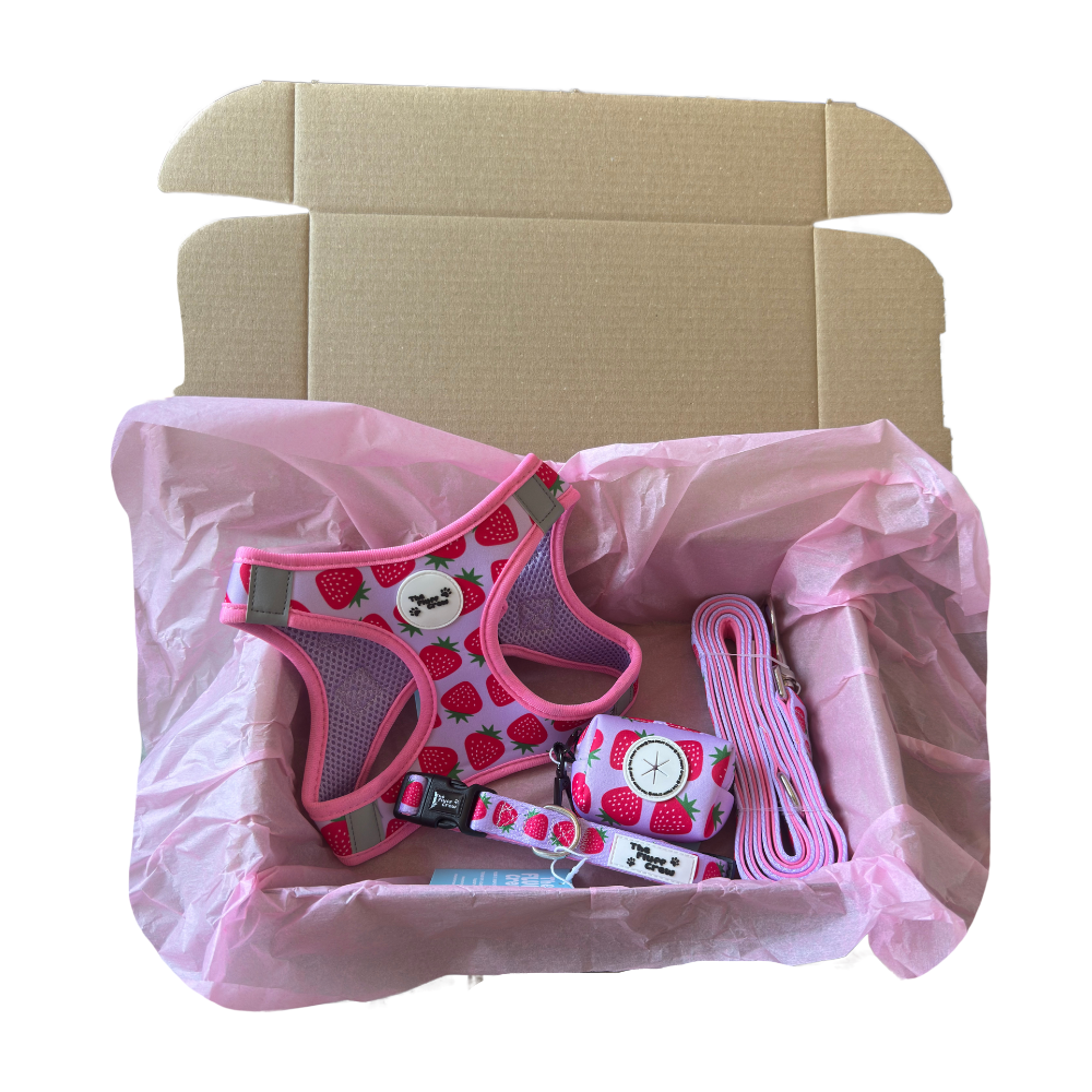 Berry Sweet Step-In Harness Set