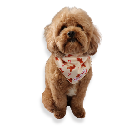 Holiday Treats Dog Bandana
