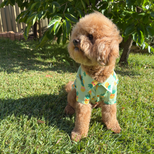 Pineapple Pals Party Shirt