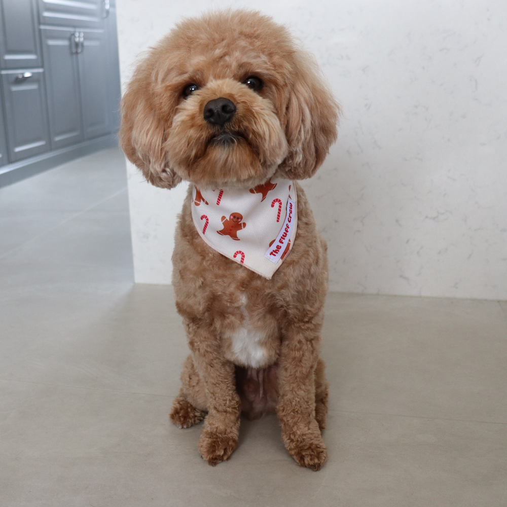 Holiday Treats Dog Bandana