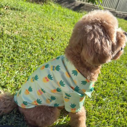 Pineapple Pals Party Shirt