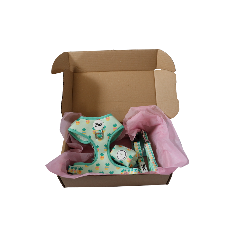 Pineapple Pals Adjustable Harness Set