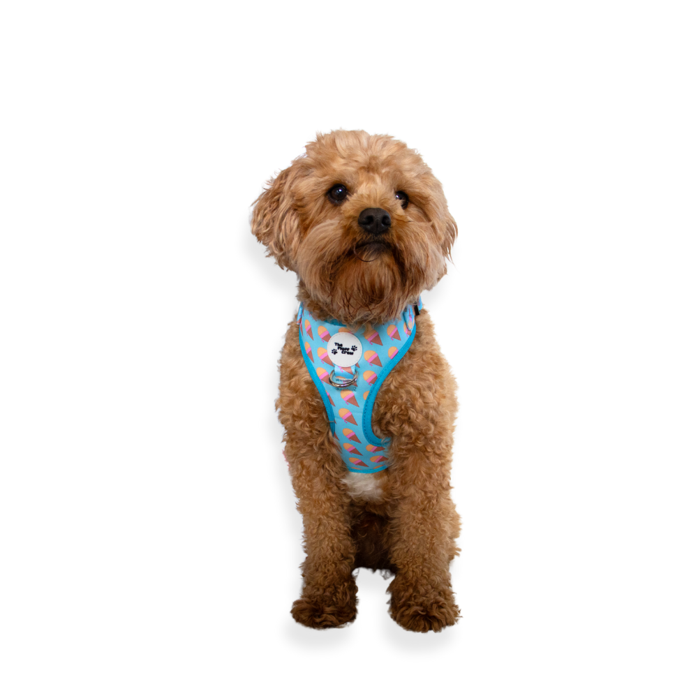 Sundae Funday Adjustable Harness
