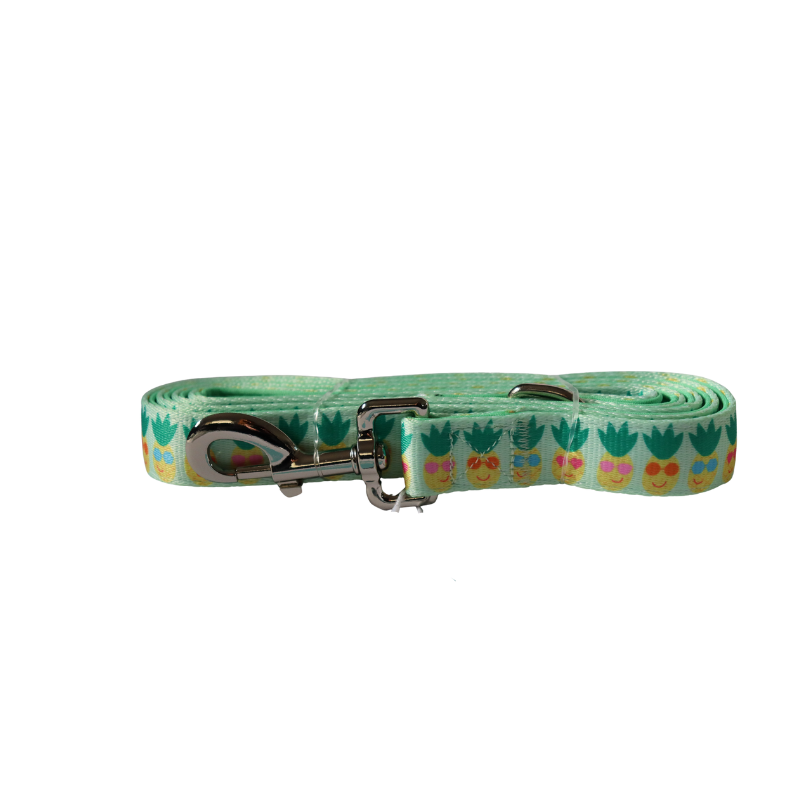 Pineapple Pals Leash