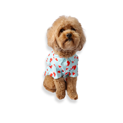 Festive Fluff Party Shirt