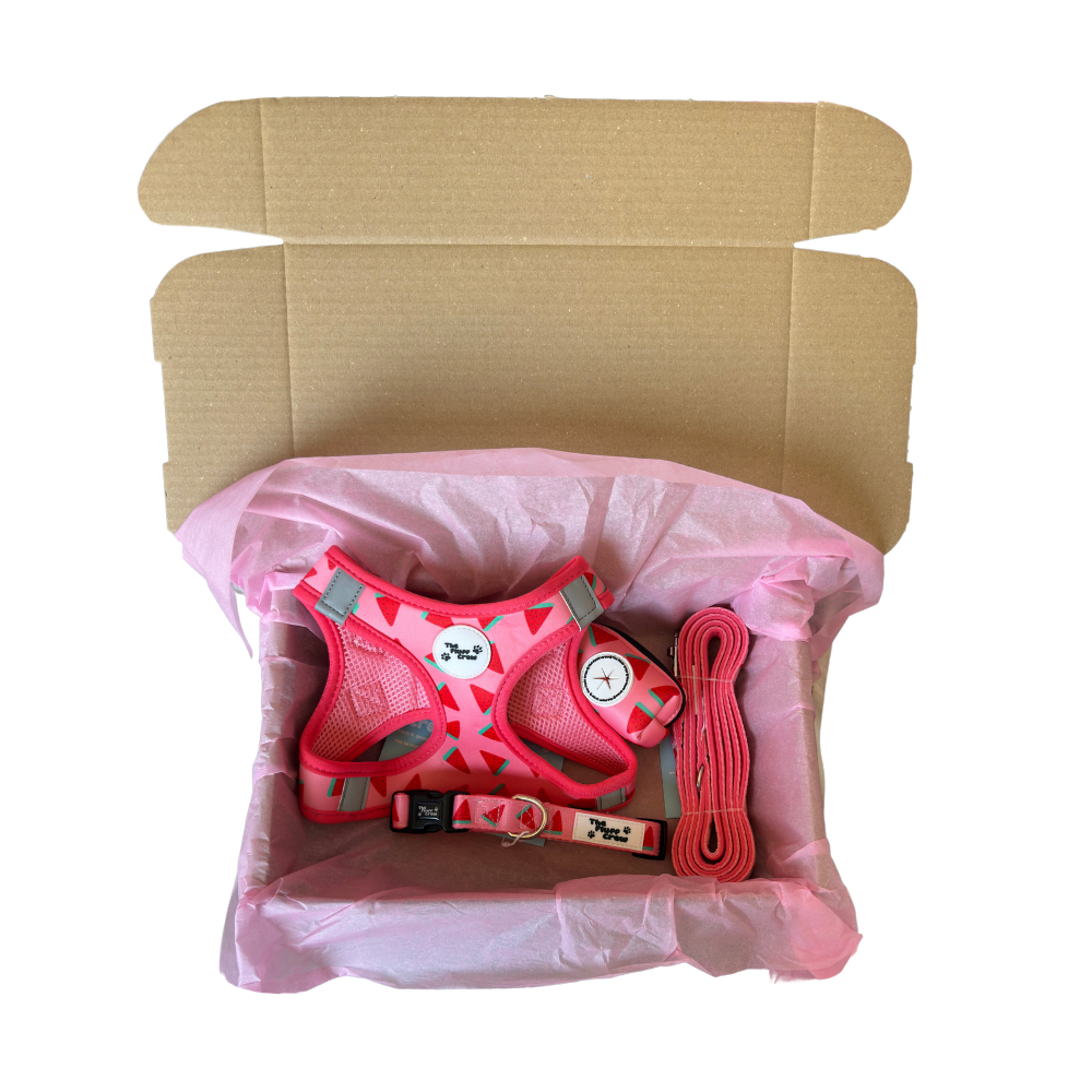 Fluff Melon Step-In Harness Set