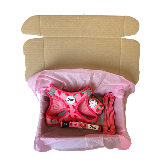 Fluff Melon Step-In Harness Set