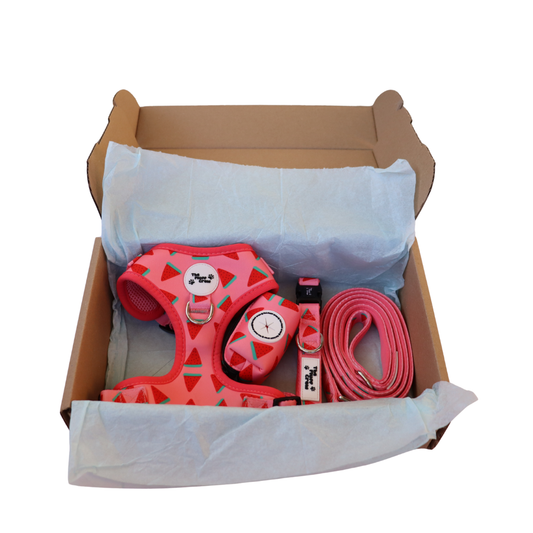 The Fluff Melon Adjustable Harness Set