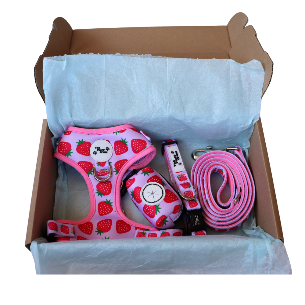 Berry Sweet Adjustable Harness Set
