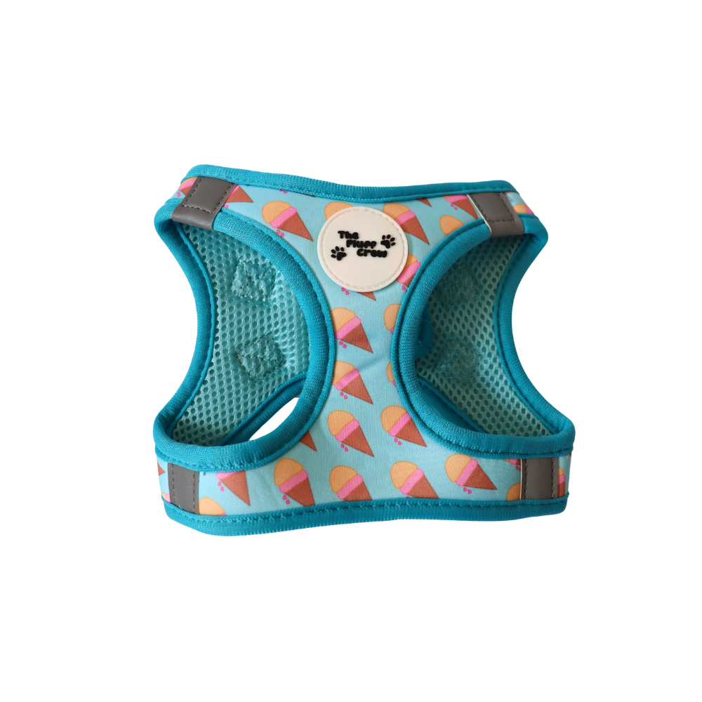 Pet harness with ice cream cone pattern on a white background