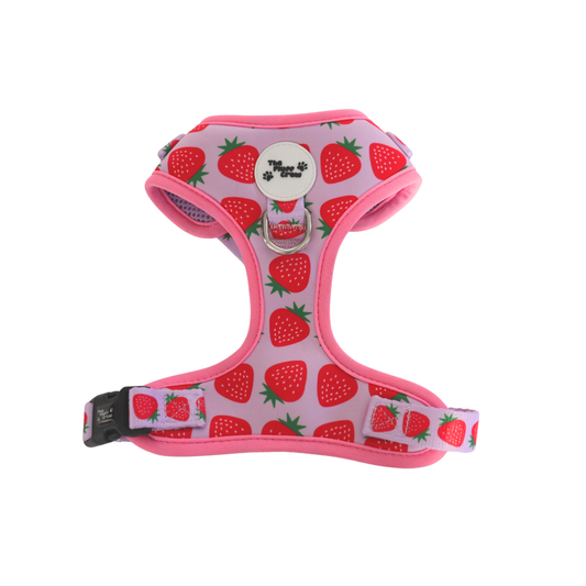 Berry Sweet Adjustable Harness