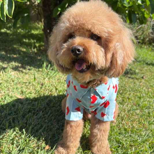 Festive Fluff Party Shirt