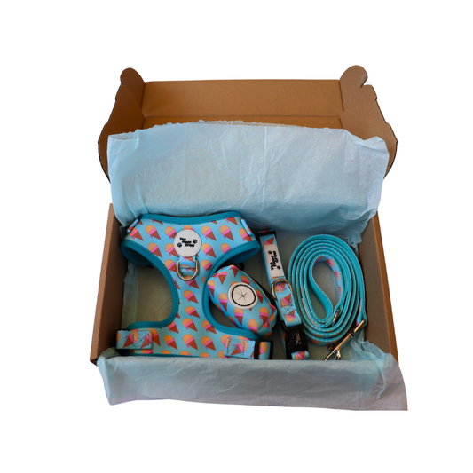 Sundae Funday Adjustable Harness Set