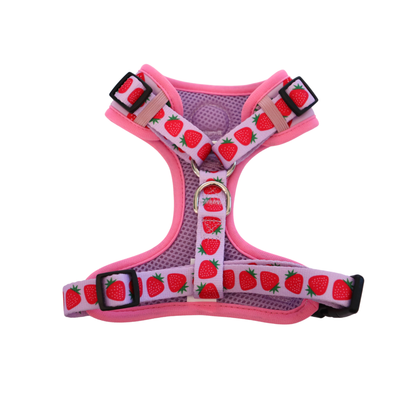 Berry Sweet Adjustable Harness