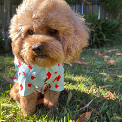 Festive Fluff Party Shirt