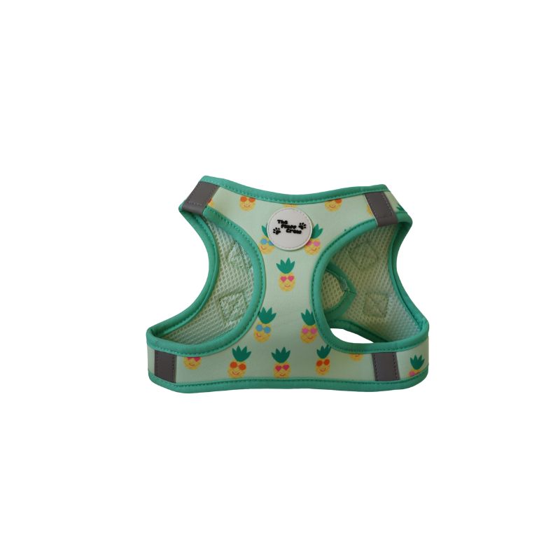 Pineapple Pals Step-In Harness
