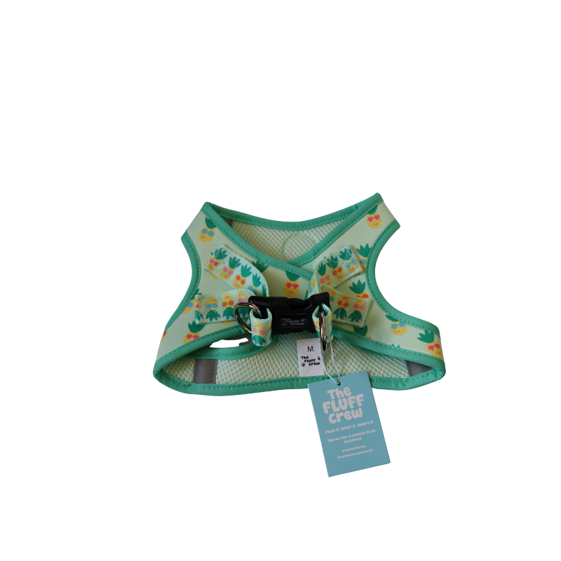 Pineapple Pals Step-In Harness