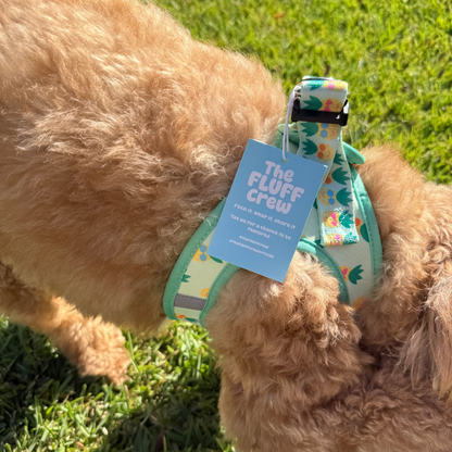 Pineapple Pals Step-In Harness