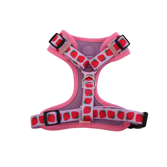 Pink adjustable dog harness with strawberry prints