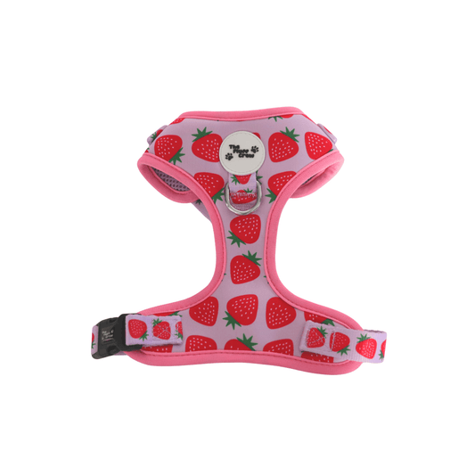 Pink adjustable dog harness with strawberry print