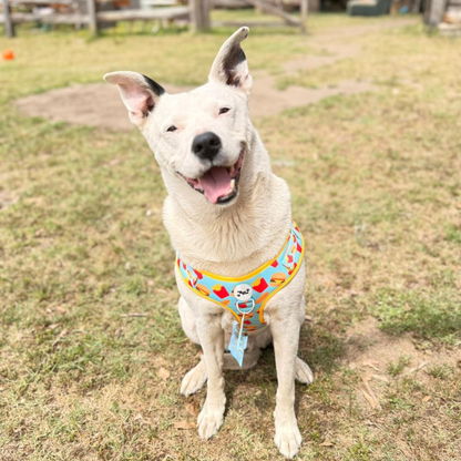 The Fluff & Fries Adjustable Harness