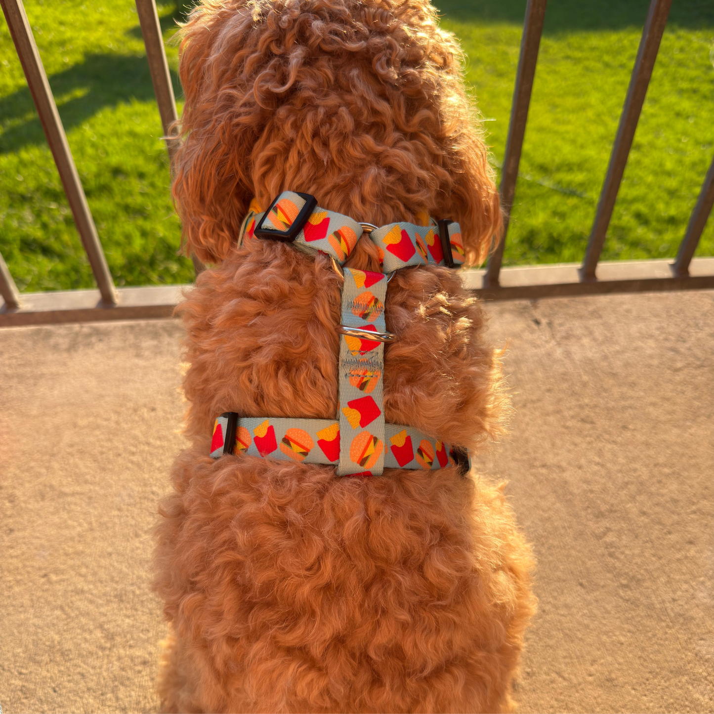The Fluff & Fries Adjustable Harness