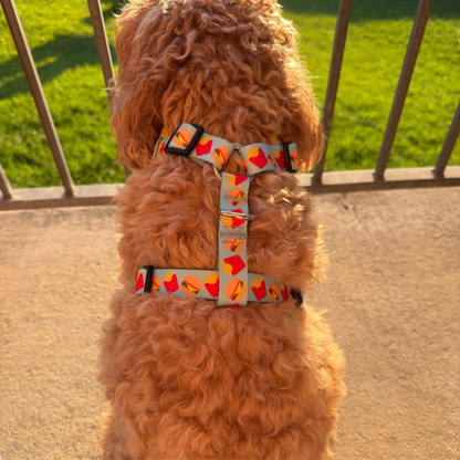 The Fluff & Fries Adjustable Harness