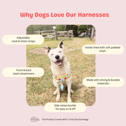 The Fluff & Fries Adjustable Harness