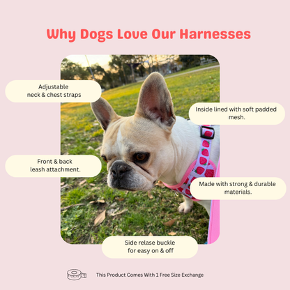 Berry Sweet Adjustable Harness