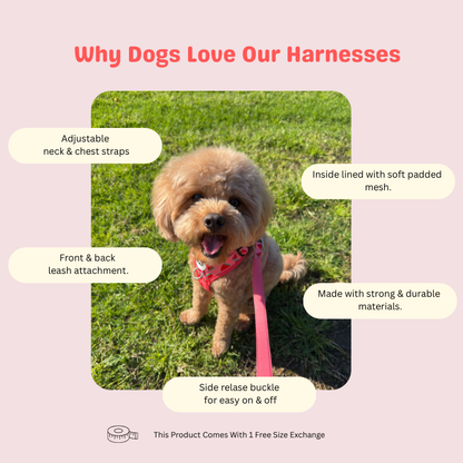 The Fluff Melon Adjustable Harness