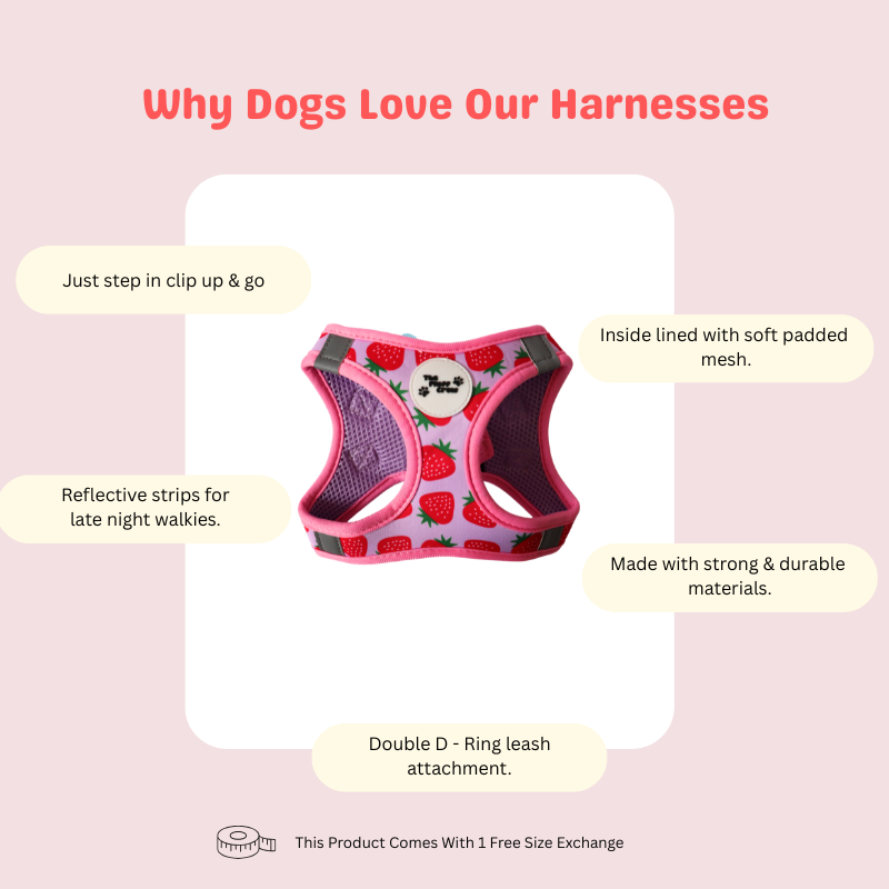 Berry Sweet Step-In Harness