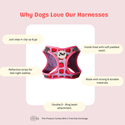 Berry Sweet Step-In Harness