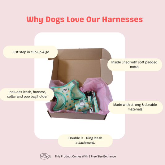 Pineapple Pals Step In Harness Set