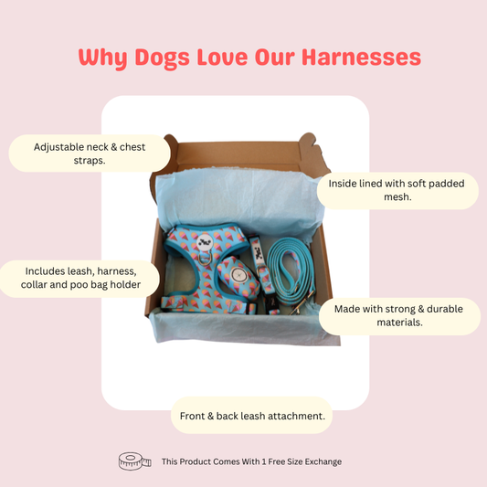 Sundae Funday Adjustable Harness Set