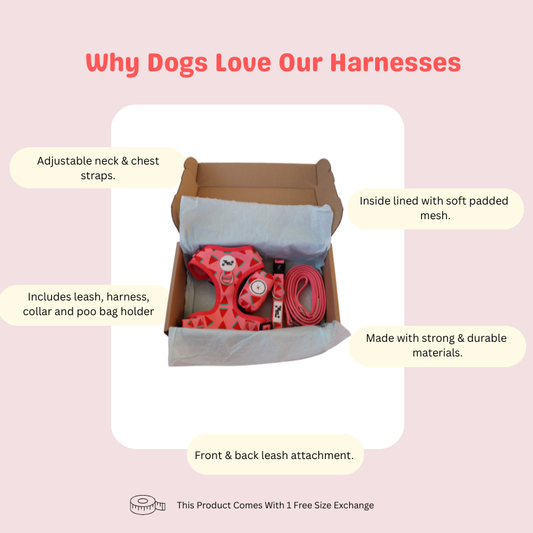 The Fluff Melon Adjustable Harness Set