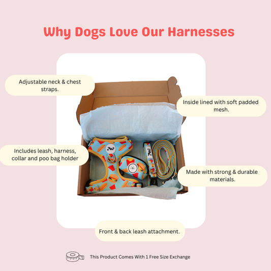 Fluff & Fries Adjustable Harness Set