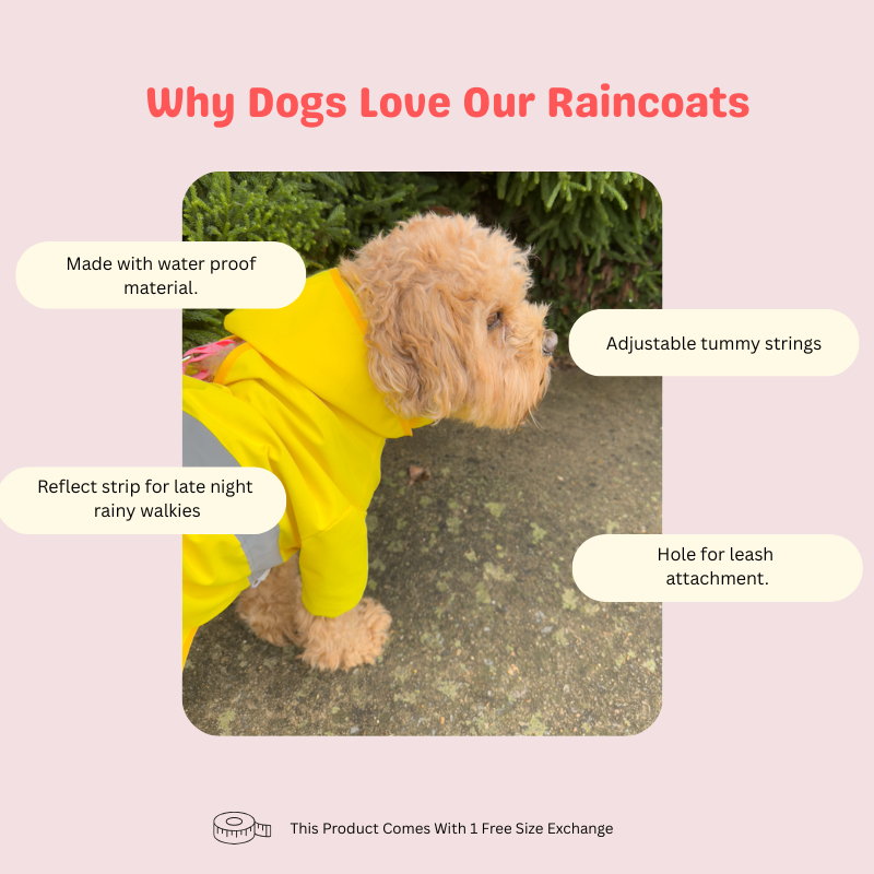Fluffshield Full Force Raincoat (Full body)