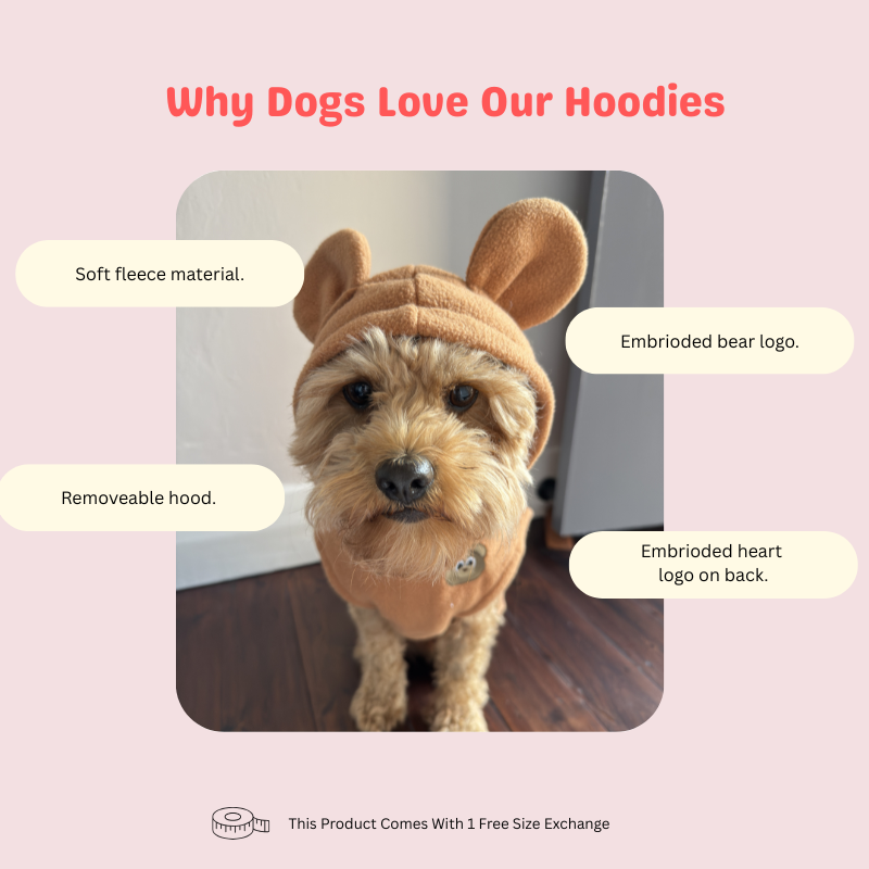 Beary Cute Hoodie Brown