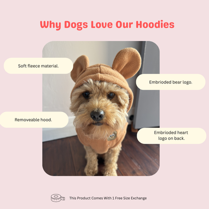 Beary Cute Hoodie Brown